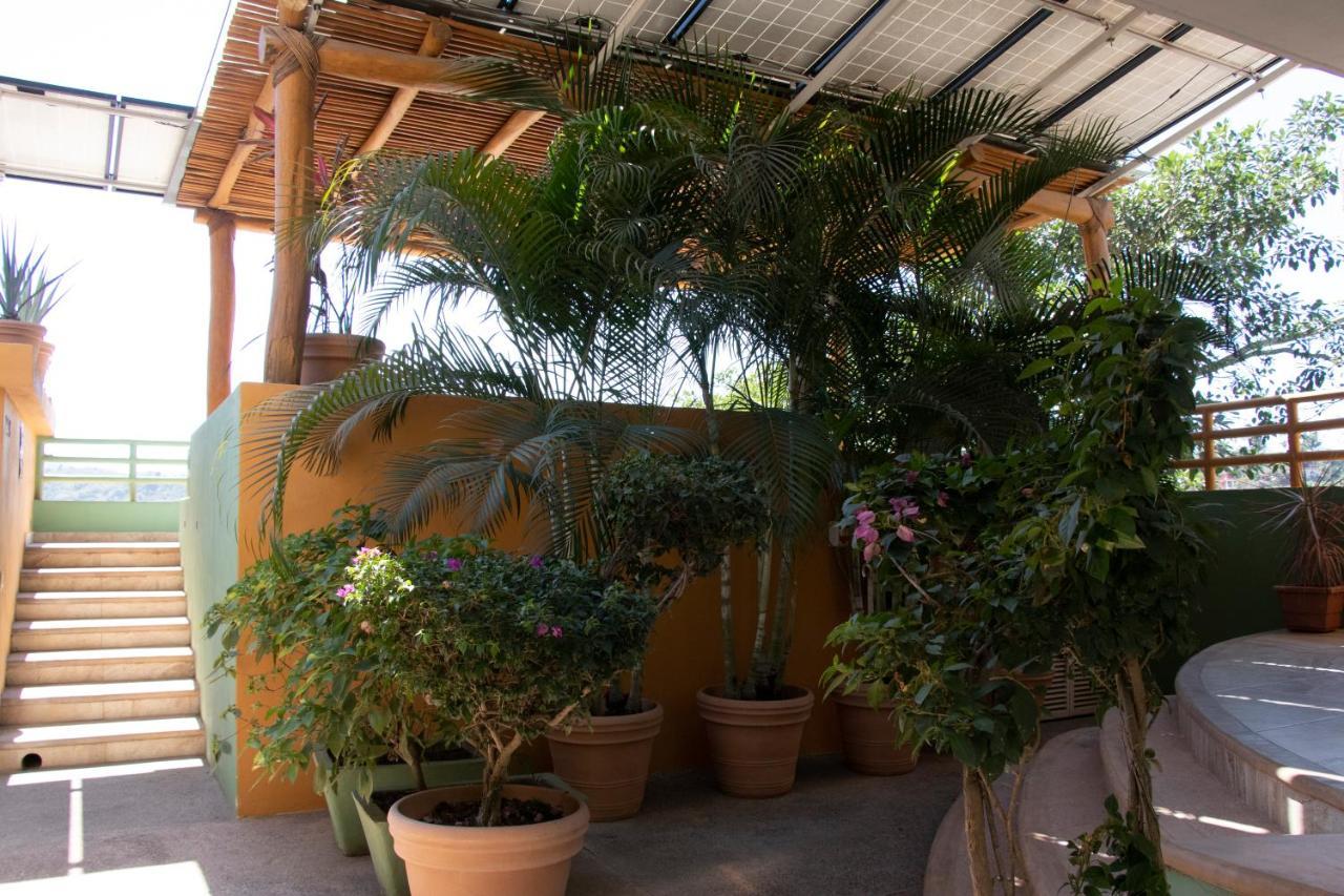Mboutique Hotel Sayulita Buitenkant foto